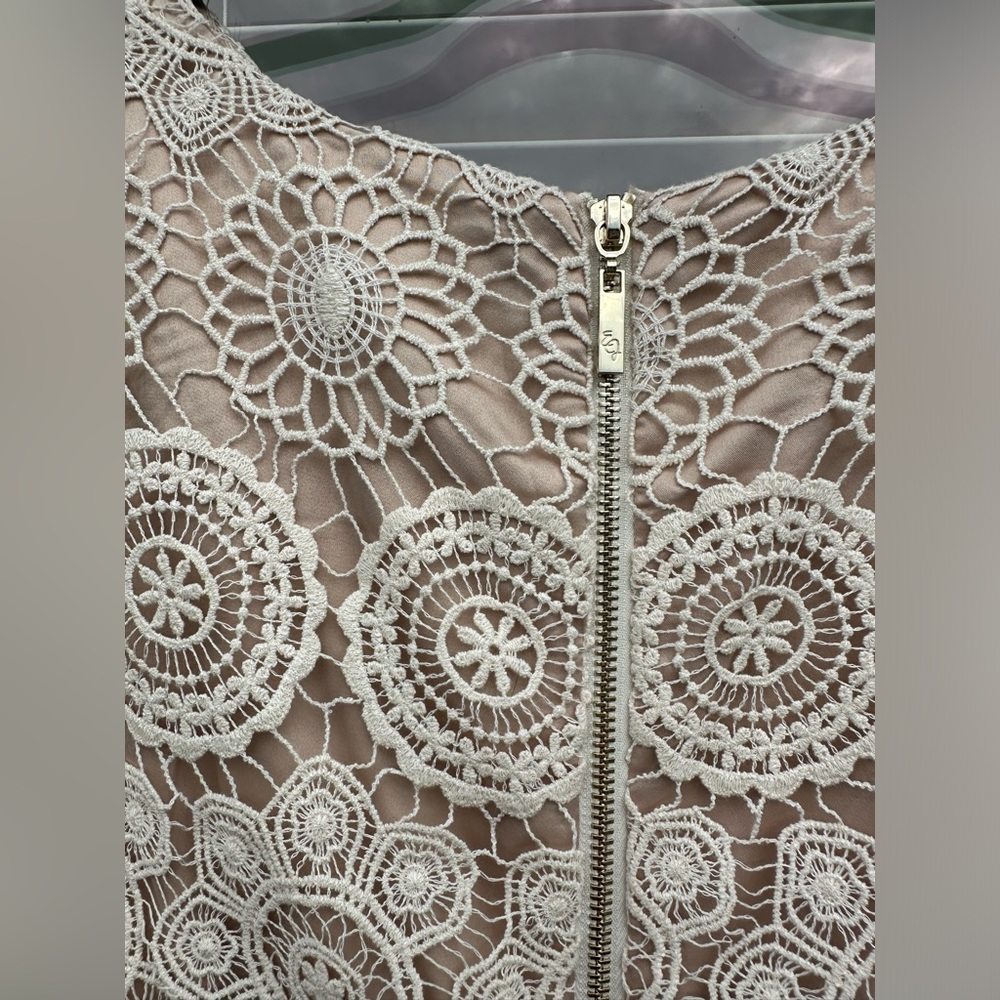 Eliza J Lace Sleeveless Shift Dress Size 6 Crochet Scalloped Hem Bohemian - Picture 6 of 9